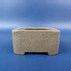 ~͔ 튊    6.2cm  D i Vi 