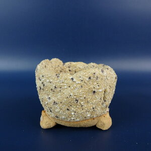 ~͔ |P Ȃ    5.9cm ۔ ֖ i Vi