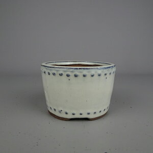 ~͔ Ȃ    9.5cm ۔ ֖  Vi ʕ