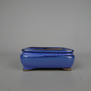 ~͔ Ȃ ^   12.5cm  ֖  Vi ʕ