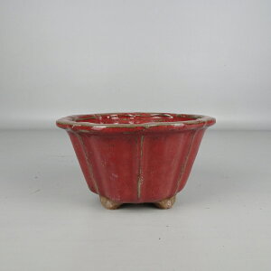 ~͔ Ȃ ^   13cm ։Ԕ O ֖  Vi ʕ