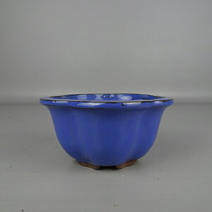 盆栽鉢 落款なし 小型 長辺 約 13cm 花形鉢 外縁 釉薬 中国鉢 新品 数量物