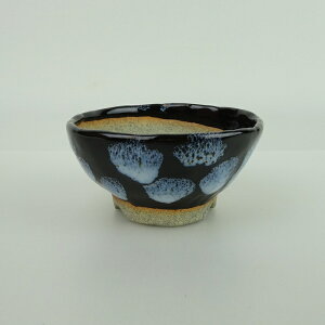 ~͔ R v ӎOY   8.8cm ۔ ֖ i Vi