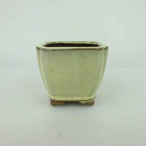 ~͔    6.5cm   _  ֖ i