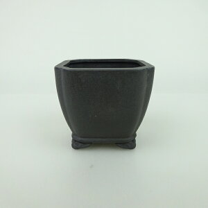 ~͔    6.5cm   _  D i