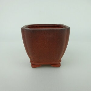 ~͔    6.5cm   _  D i