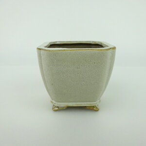 ~͔    6.5cm   _  ֖ i