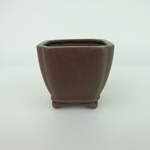 ~͔    6.5cm   _  D i