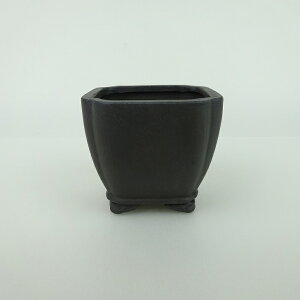 ~͔    6.5cm   _  D i