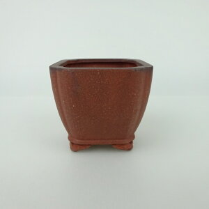 ~͔    6.5cm   _  D i