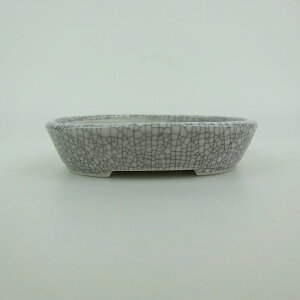 ~͔  ^  10cm ȉ~ ѓ ֖ i 