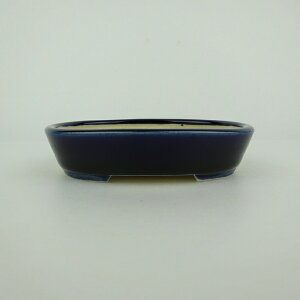 ~͔    10cm ȉ~ ֖ i 