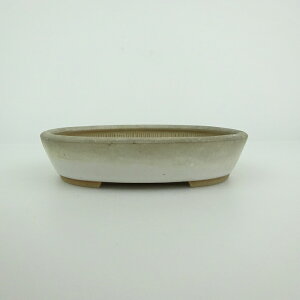 ~͔    9.8cm ȉ~ ֖ i 