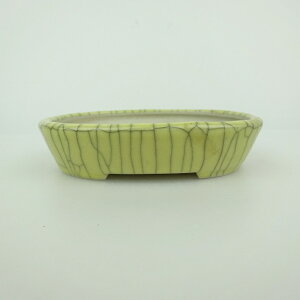 ~͔    10cm ȉ~ ѓ ֖ i 