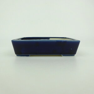 ~͔  ^  12.3cm  ֖ i 