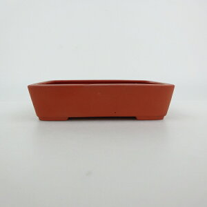 ~͔  ^  11.8cm  D i 