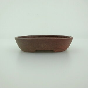 ~͔    8.1cm ȉ~ D i 