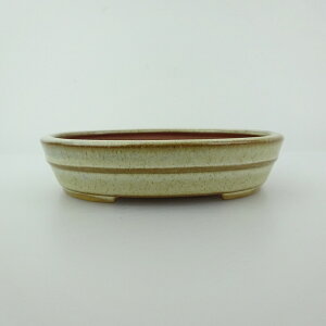 ~͔  ^  12cm ȉ~  ֖ i 