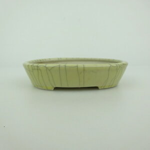 ~͔    10cm ȉ~ ѓ ֖ i 