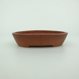 ~͔    9.8cm ȉ~ D i 