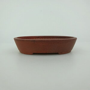 ~͔    9.8cm ȉ~ D i 