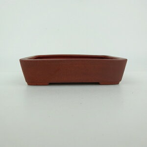 ~͔  ^  11.7cm  D i 