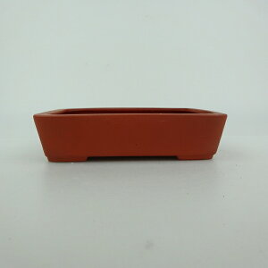 ~͔  ^  11.6cm  D i 