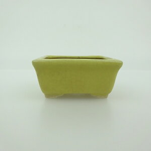 盆栽鉢 青香 小鉢 長辺 約5.9cm 長方鉢 貫入 縁付 釉薬 現品