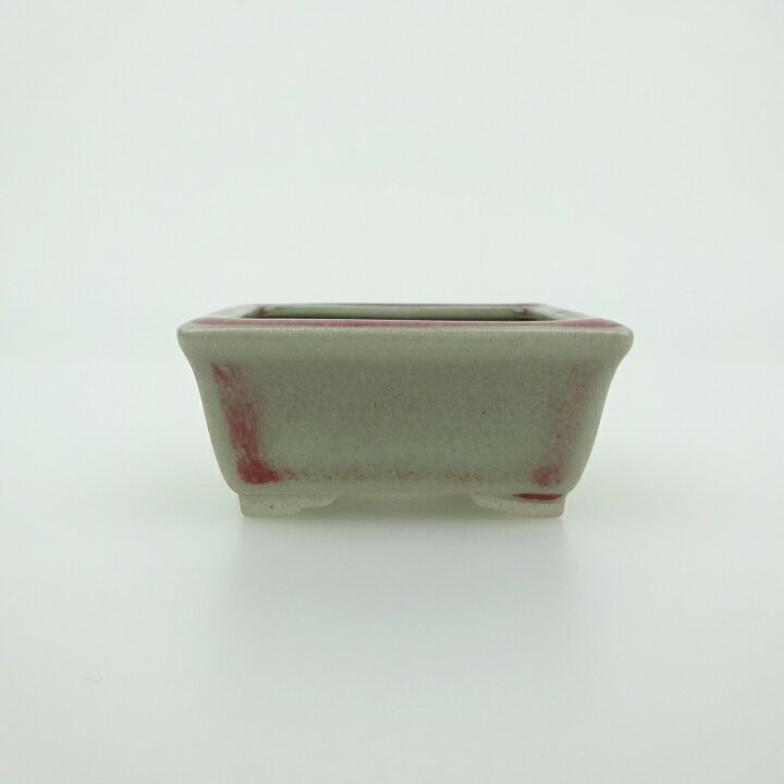 楽天市場】盆栽鉢 青香 小鉢 長辺 約5.8cm 長方鉢 縁付 釉薬 現品 新品 