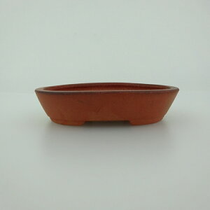 ~͔    8.3cm ȉ~ D i 