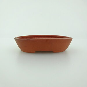 ~͔    8.4cm ȉ~ D i 