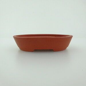 ~͔    8.2cm ȉ~ D i 