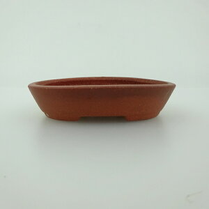 ~͔    8.4cm ȉ~ D i 