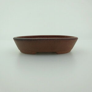 ~͔    8.3cm ȉ~ D i 