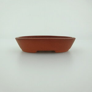 ~͔    8.3cm ȉ~ D i 