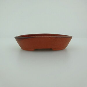 ~͔    8.3cm ȉ~ D i 