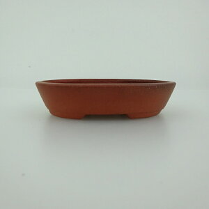 ~͔    8.3cm ȉ~ D i 