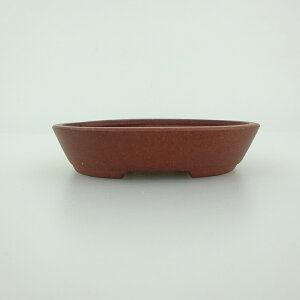 ~͔    8.1cm ȉ~ D i 