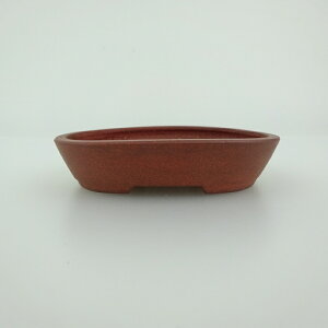 ~͔    8.2cm ȉ~ D i 