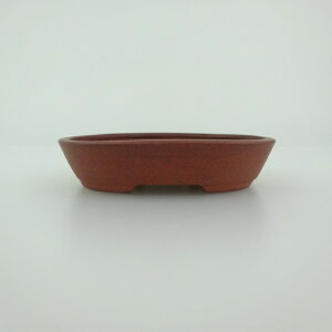 ~͔    8.1cm ȉ~ D i 