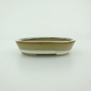 ~͔    8.2cm ȉ~ ֖ i 