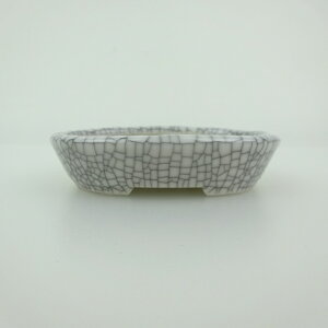 ~͔    8.4cm ȉ~ ѓ ֖ i 