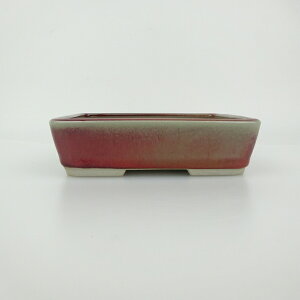 ~͔  ^  14.5cm  ֖ i 