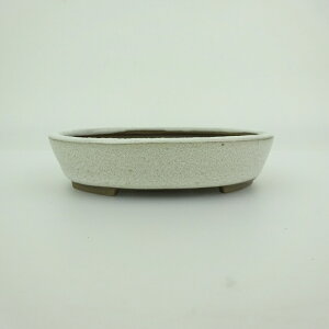 ~͔    9.8cm ȉ~ ֖ i 