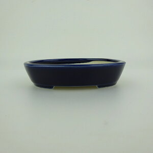 ~͔    10cm ȉ~ ֖ i 