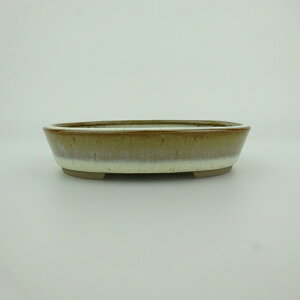 ~͔    9.8cm ȉ~ ֖ i 