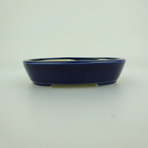 ~͔    10cm ȉ~ ֖ i 