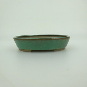 ~͔    9.9cm ȉ~ ֖ i 