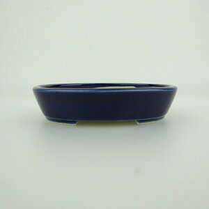 ~͔    10.1cm ȉ~ ֖ i 