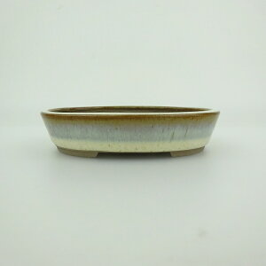 ~͔    9.8cm ȉ~ ֖ i 